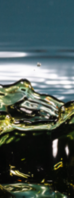 PETROLEO