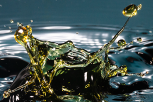 PETROLEO